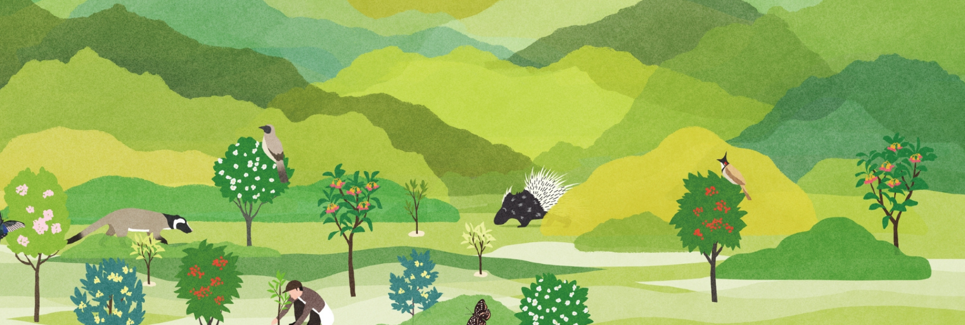 Charity Woodland